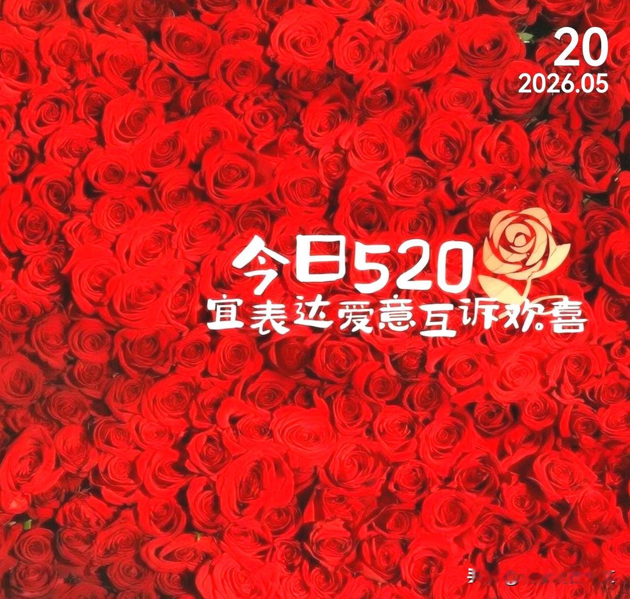比起我爱你，最动人的是我在呢。520，愿陪你碎碎念的人，陪伴你岁岁年年。