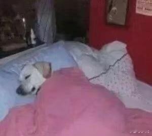 重感冒好几天了 好折磨 ​​​