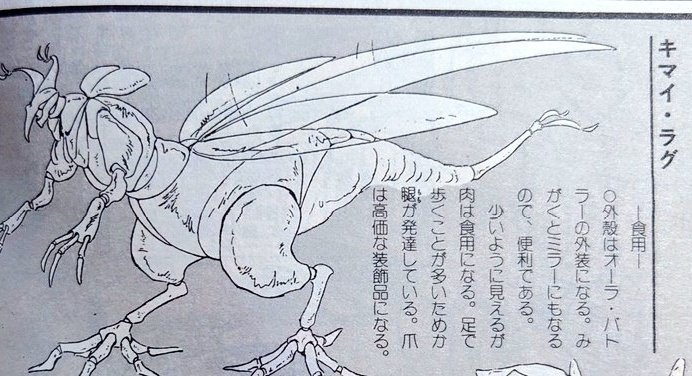 雾草……外壳用来做AB，打磨一下甚至能当镜子用。虽然肉不多但可以吃。或许是因为双