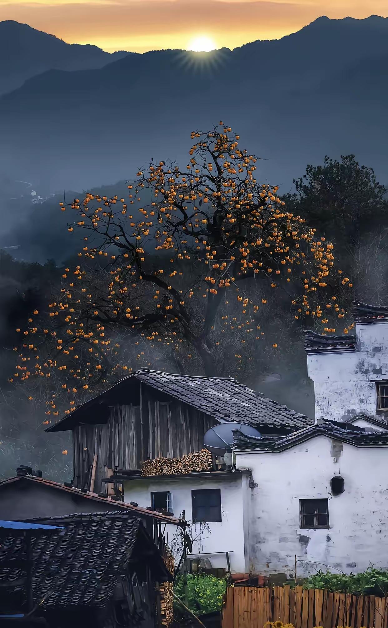 慧极必伤，你们信吗？朋友父亲家五兄弟都是精英，三个大官一大老板一教授，智商都极高