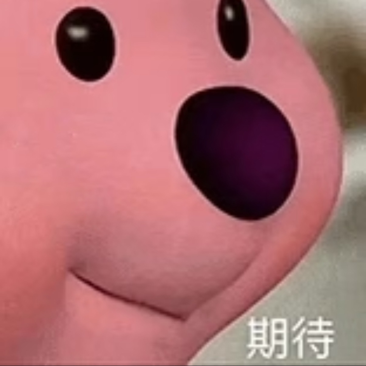 时蛋团这两天是在拍什么好东西吗 