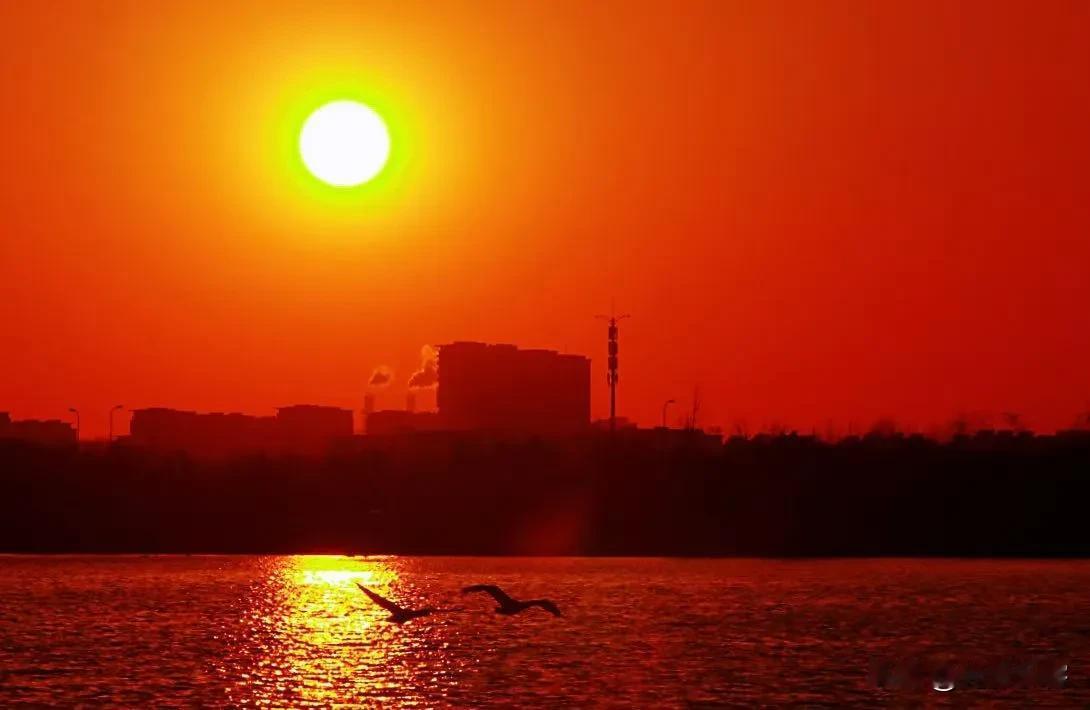 夕阳西下，天鹅湖披上了一层金色的轻纱。湖面波光粼粼，映照着天边的晚霞，仿佛一幅流