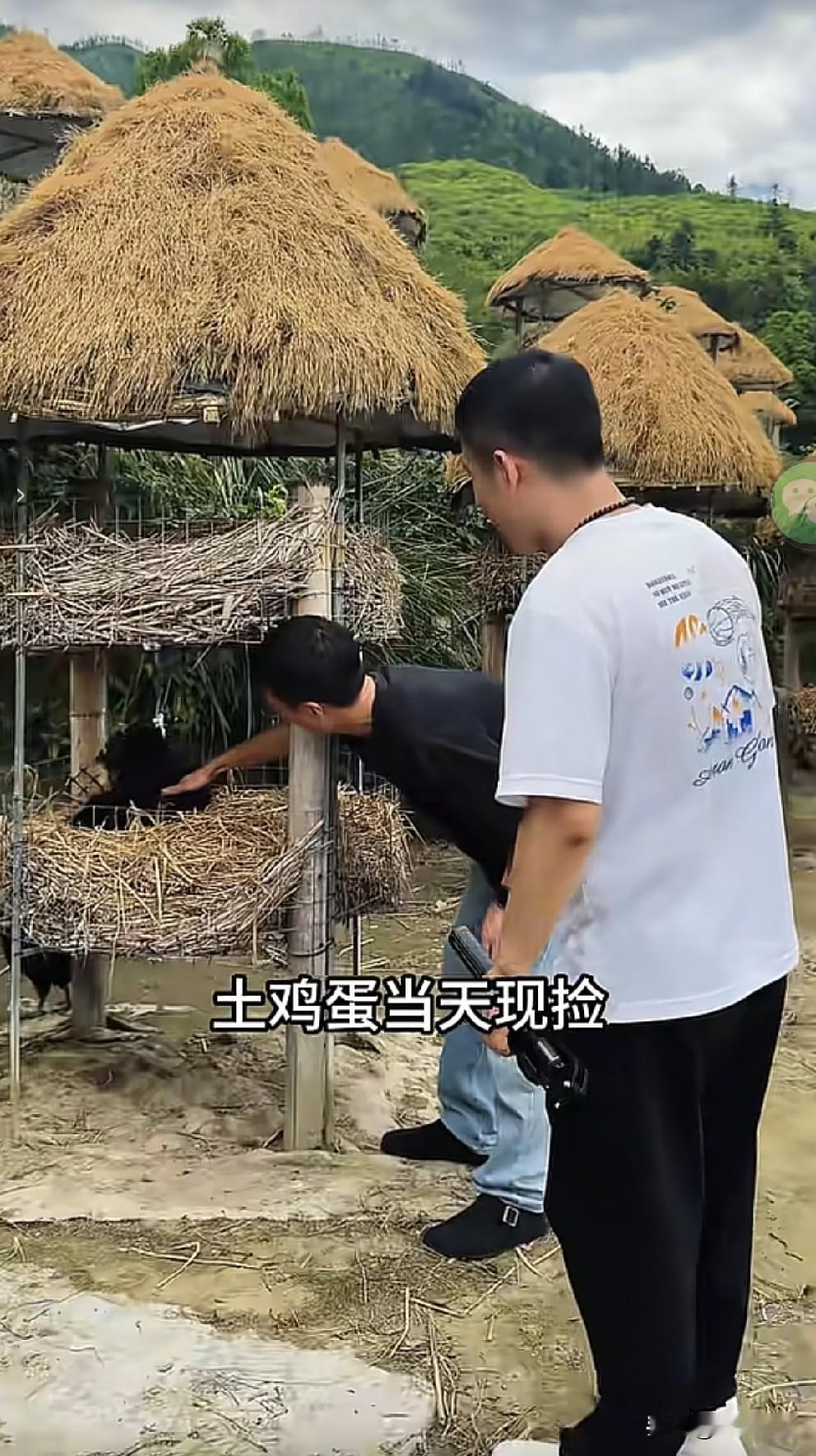 林德东发出了最新视频，视频画面山清水秀，农家鸡，农家蛋，看来是要带农产品了。
