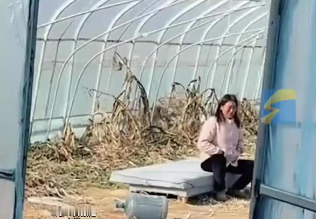 妈妈偷哭后说吃得香

天造万物皆得生，
谁可饮露食餐风？
食物链顶人为最，
上帝