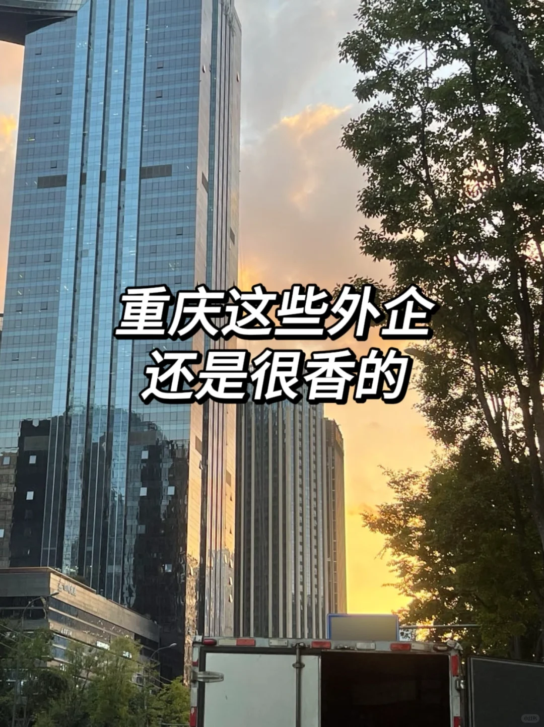 重庆这些外企还是很香的