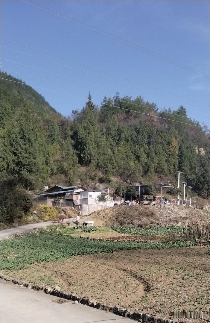 50万的选择是对还是错！每次来娃他爸老家，就会看见这一家人，特别感慨！男人年轻的