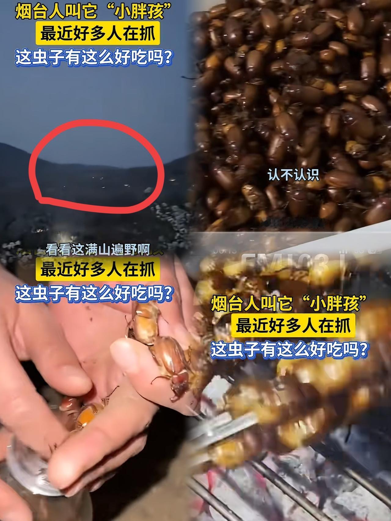 谁能想到，
山东烟台深夜山脚被私家车围得水泄不通，手电亮成一片，外地人路过直呼吓