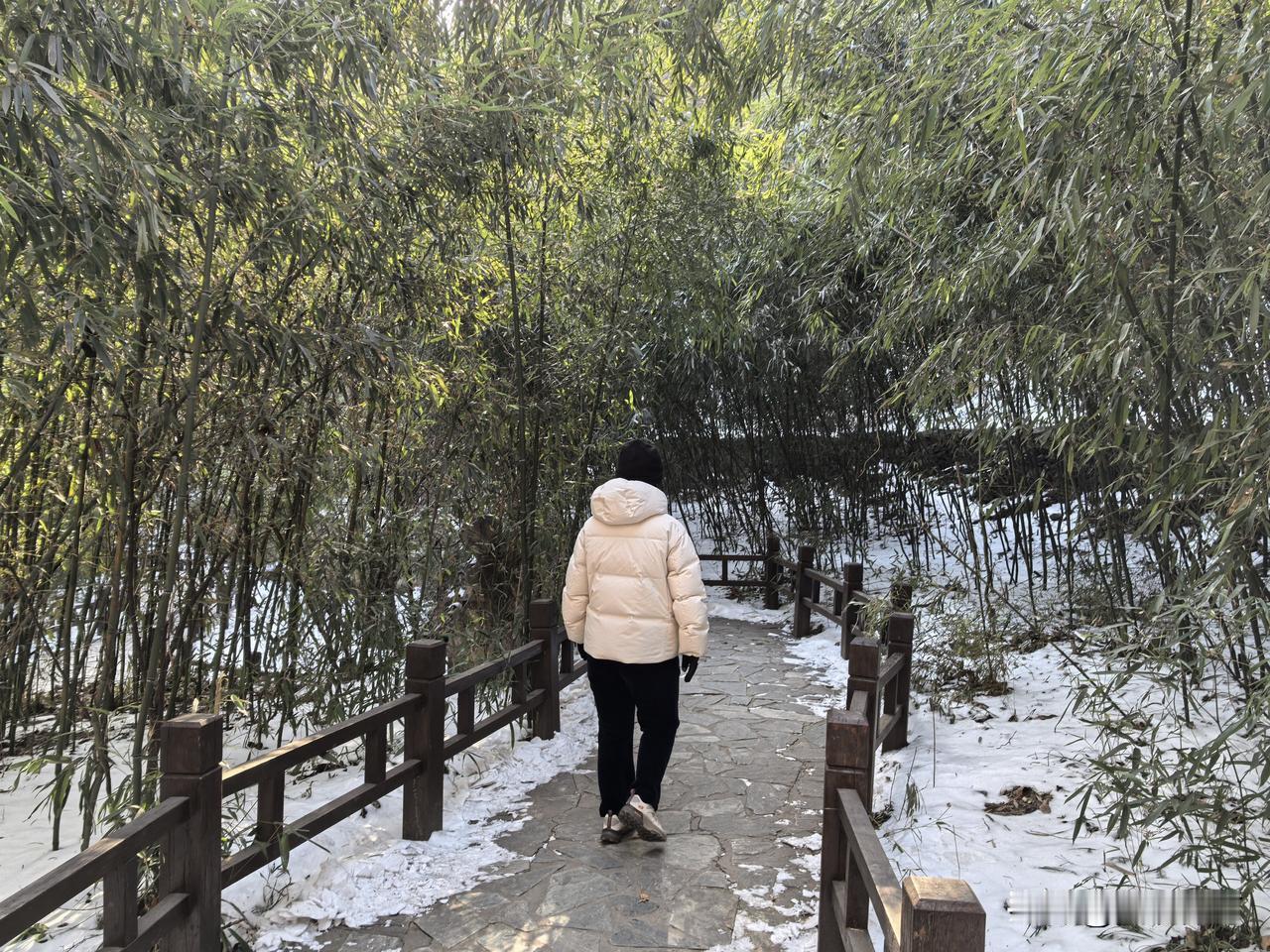 水源之处有茶舍（凸碧堂）