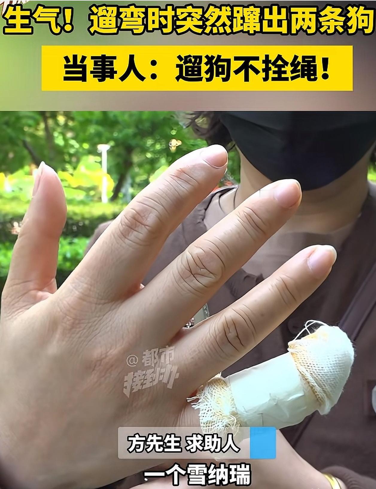 河南郑州，女子和丈夫在小区遛弯，突然窜出来两条狗，均未拴绳。两条狗将女子扑倒，其