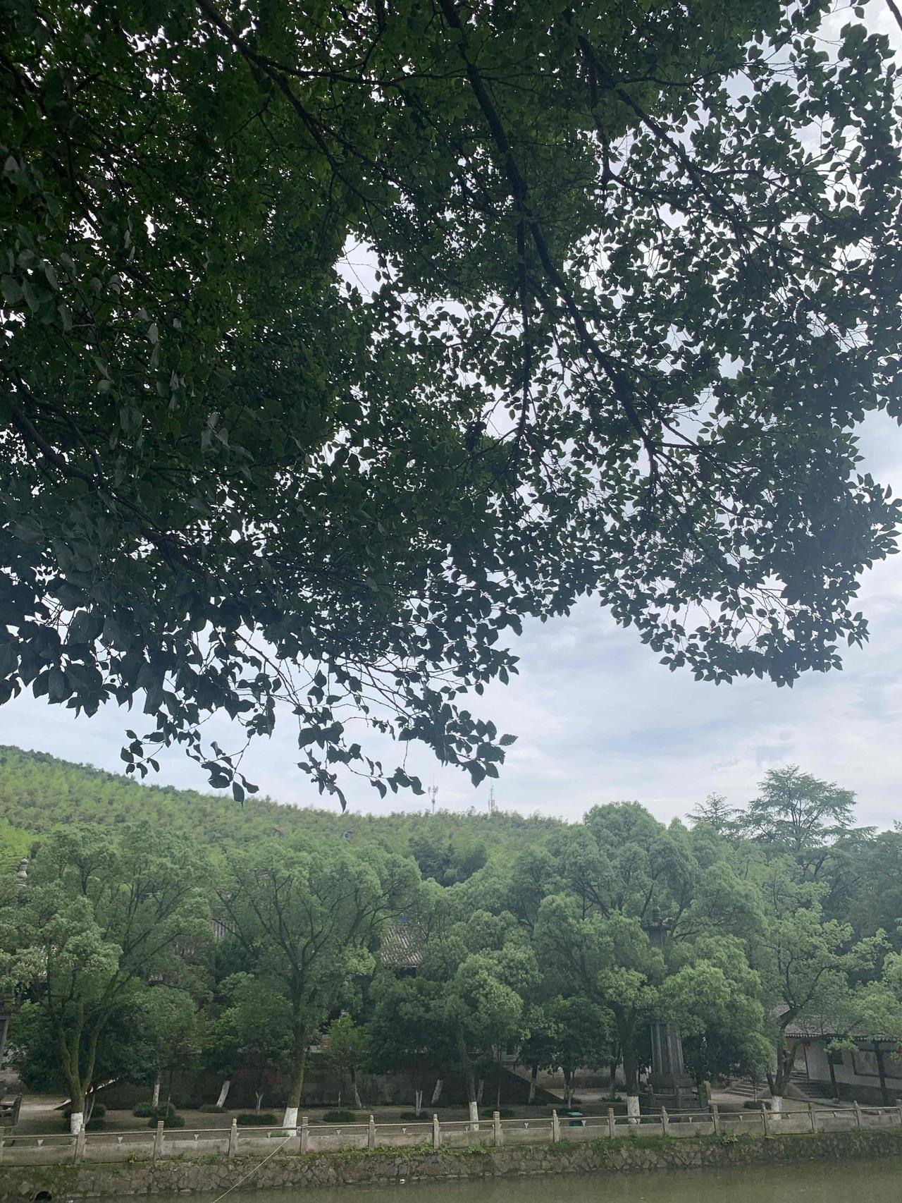 做自媒体以后，生活真就变了个样。以前醒来还能慢悠悠地伸个懒腰，现在一睁眼就条件反