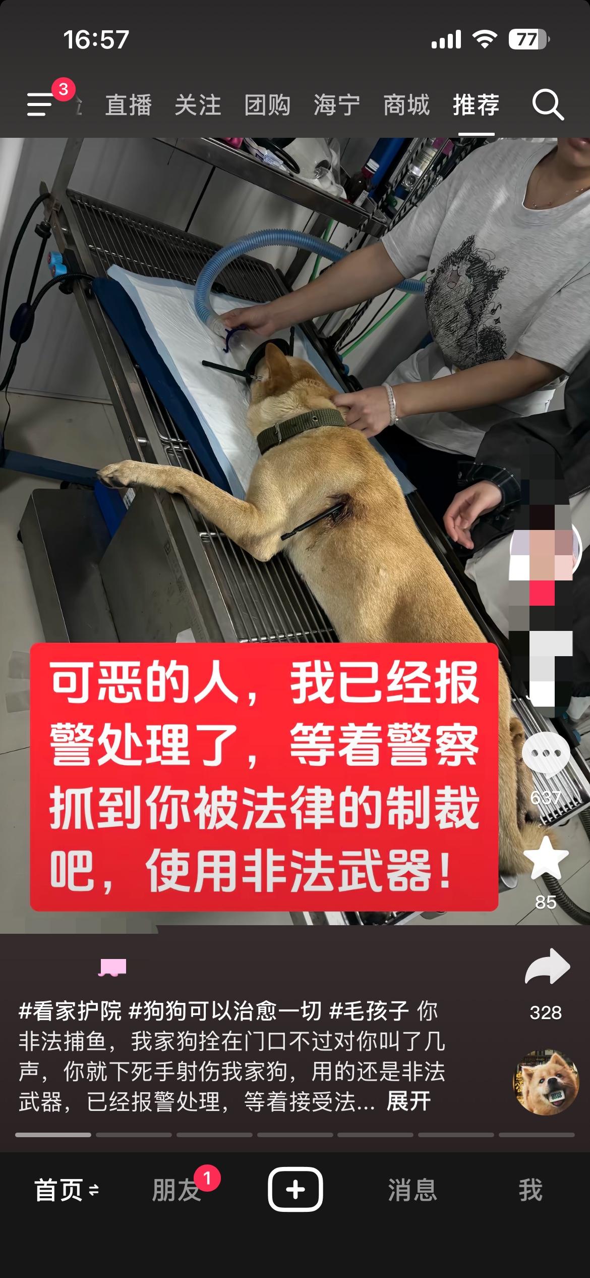 “歹毒！”海宁一男子非法捕鱼，因家犬叫了几声，竟用非法武器射伤它，狗主报警怒讨公
