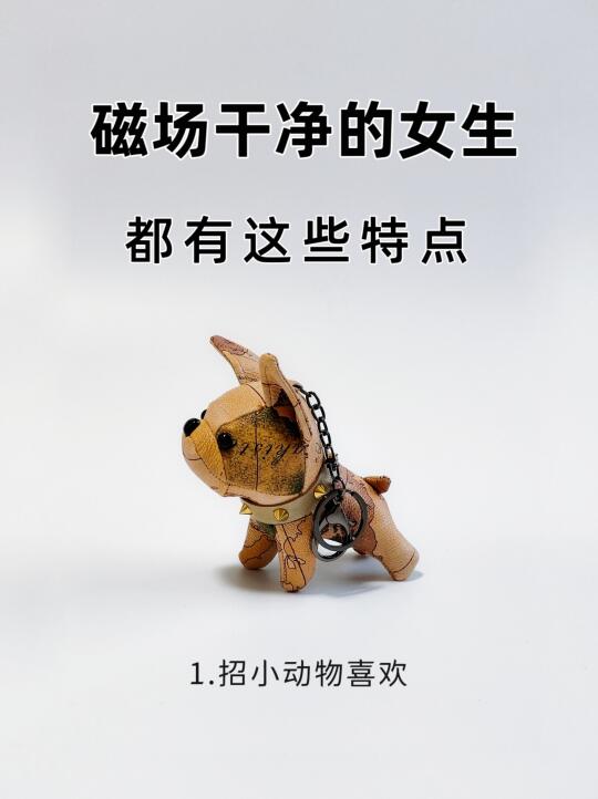 磁场干净女生的特点