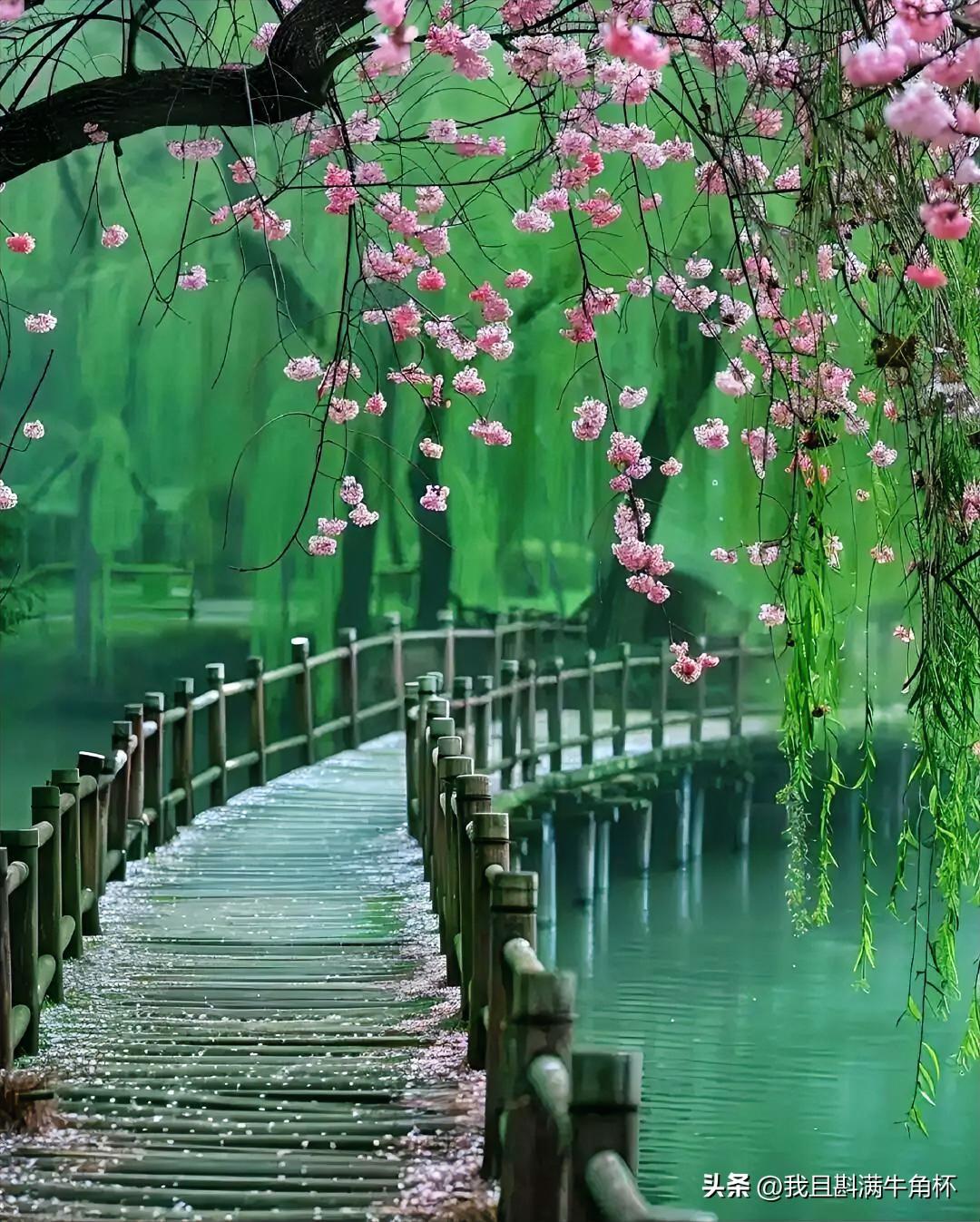 上联：惆怅落花飞似梦
下联：有请雅士[玫瑰][玫瑰][玫瑰]