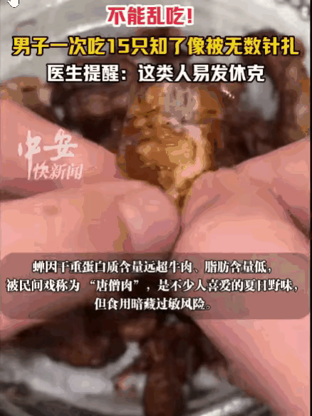 别再盲目乱吃！网红炸知了根本不是人人都能吃的美味
 
很多人都觉得炸知了是夏日极