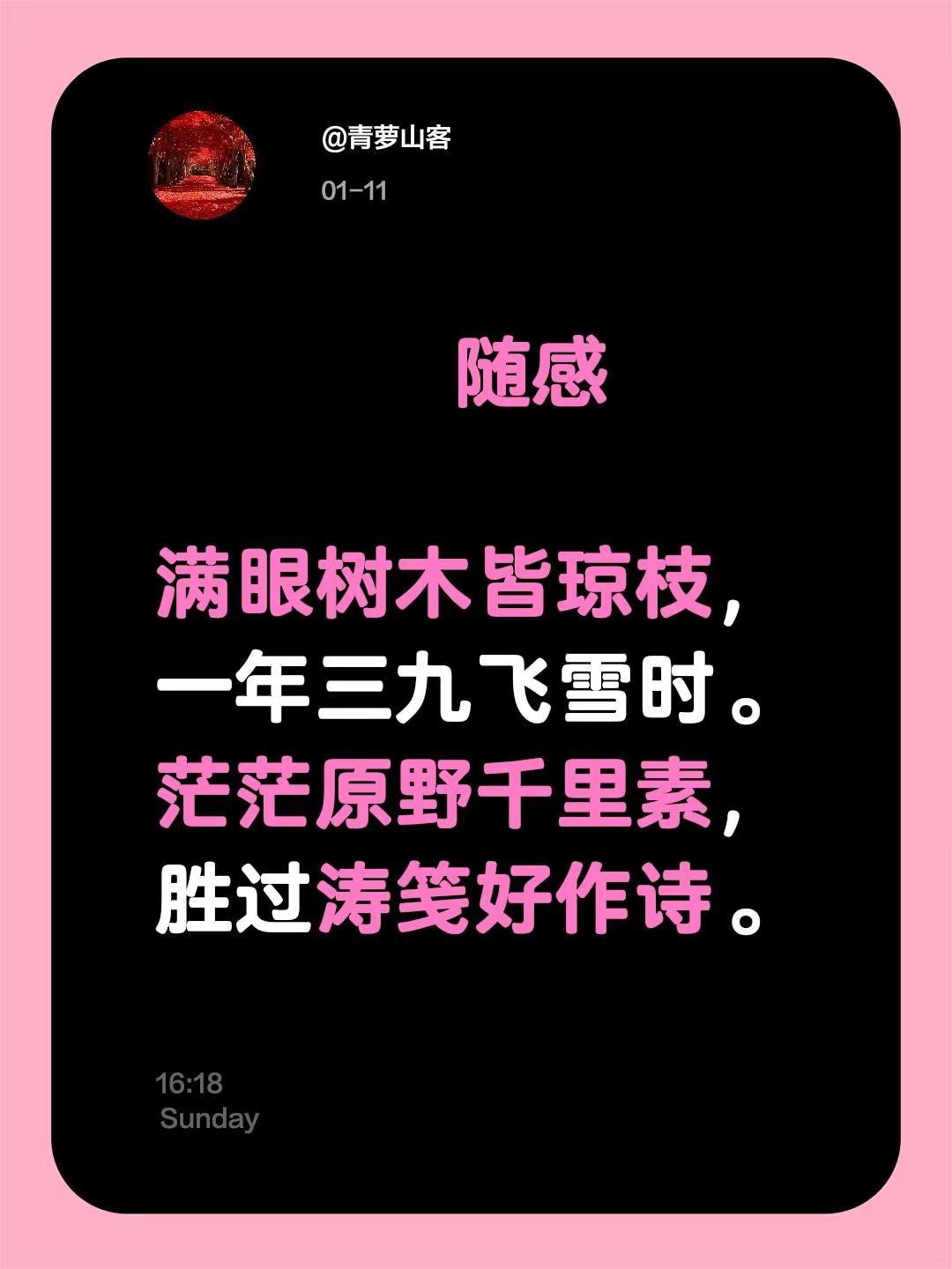 随感满眼树木皆琼枝，一年三九飞雪时。茫茫原野千里素，胜过涛笺好作诗。