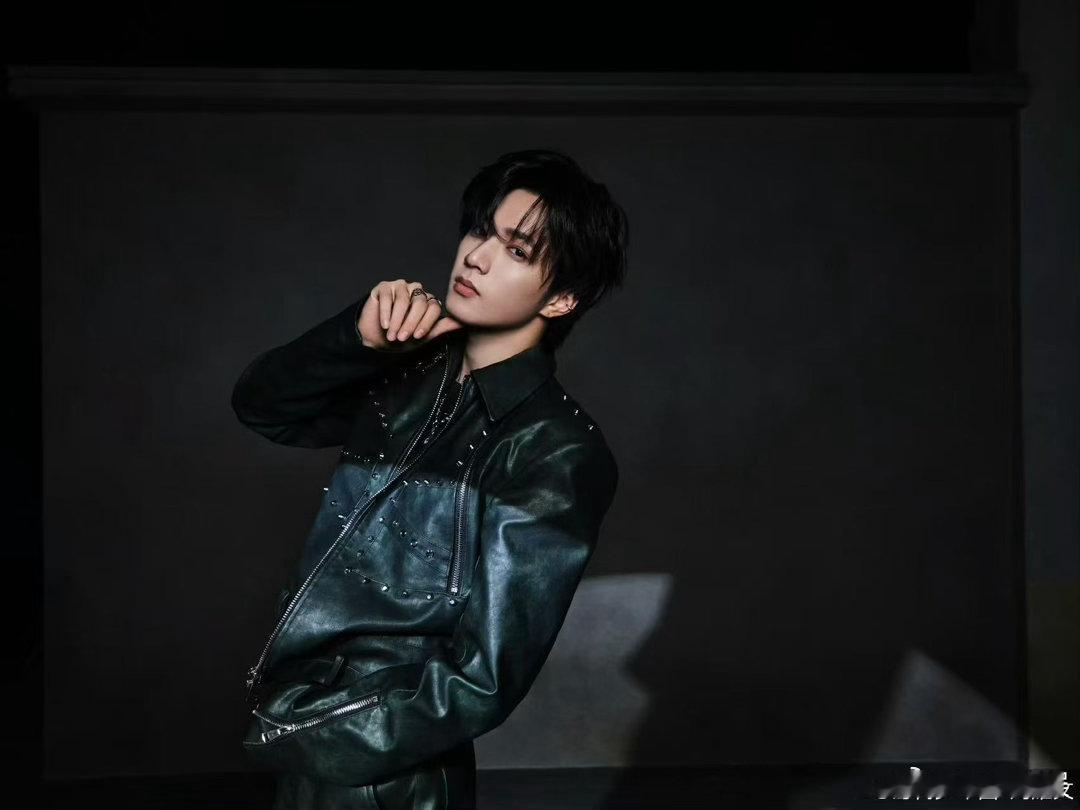 刘耀文潮男发力了刘耀文皮衣九宫格刘耀文皮衣九宫格，潮男发力了， 