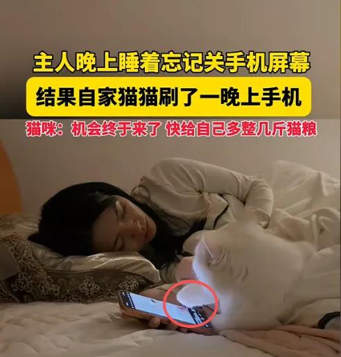 广东一女子躺在床上刷手机，困得不行，一不小心就睡着了。
睡着的时候忘了把手机屏幕