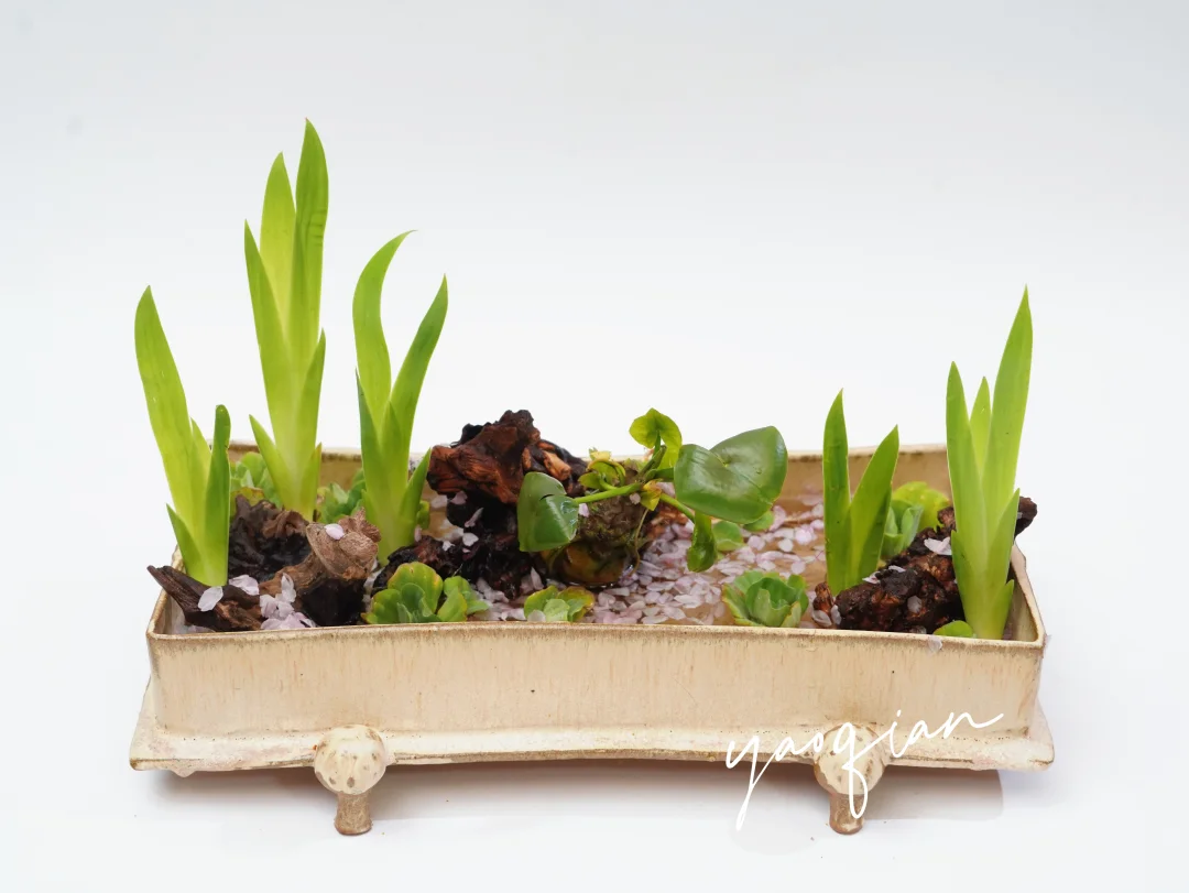 春日花筏─秒速五厘米的浪漫