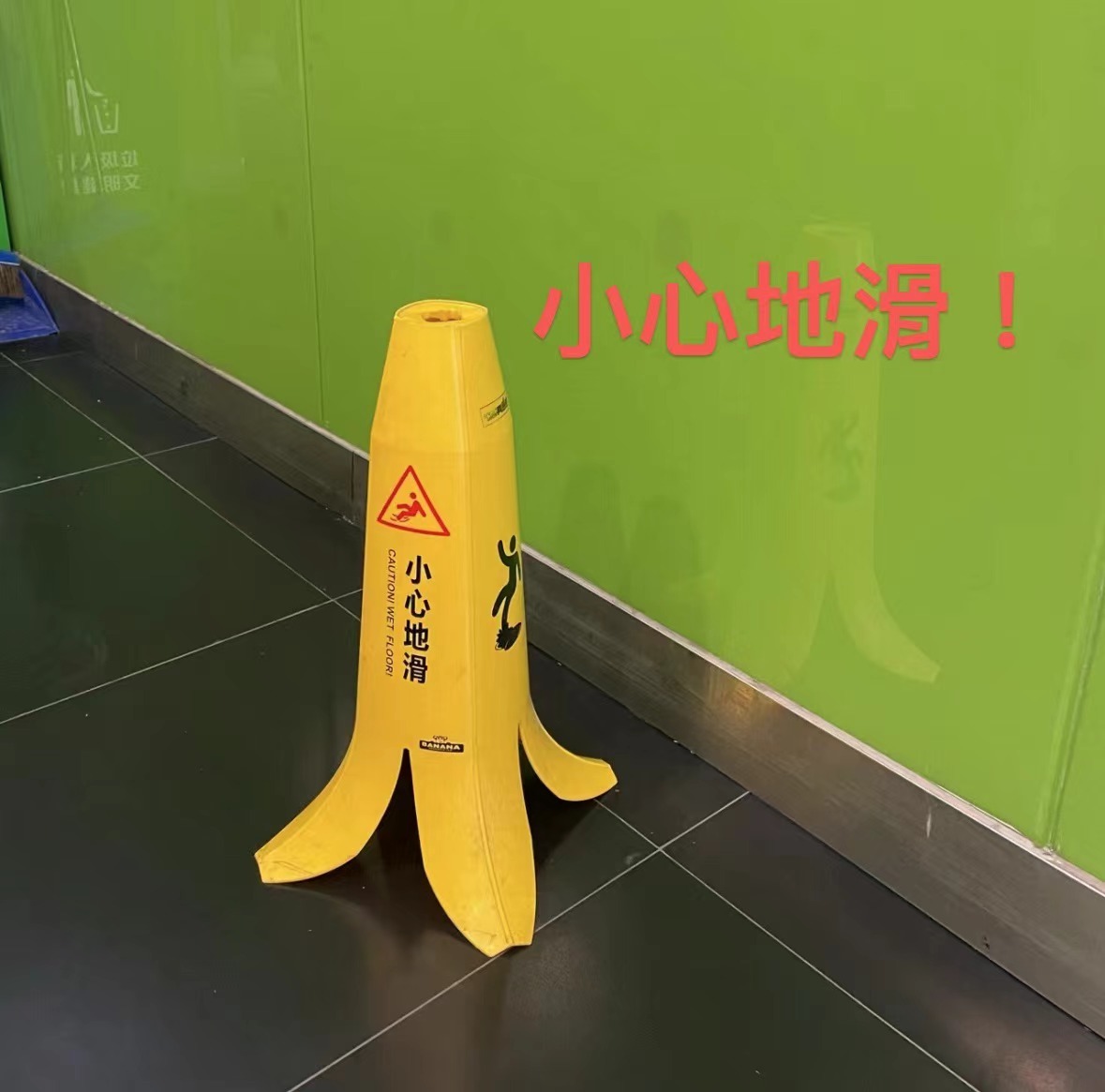#每天一条冷知识# 香蕉皮为什么会滑？香蕉皮的内侧表层存在着很多的泡状细胞，其中