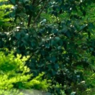 迪丽热巴迪丽热巴 dlrb迪丽热巴益起来思想经济文化，各个领域运用诚信经营观势在