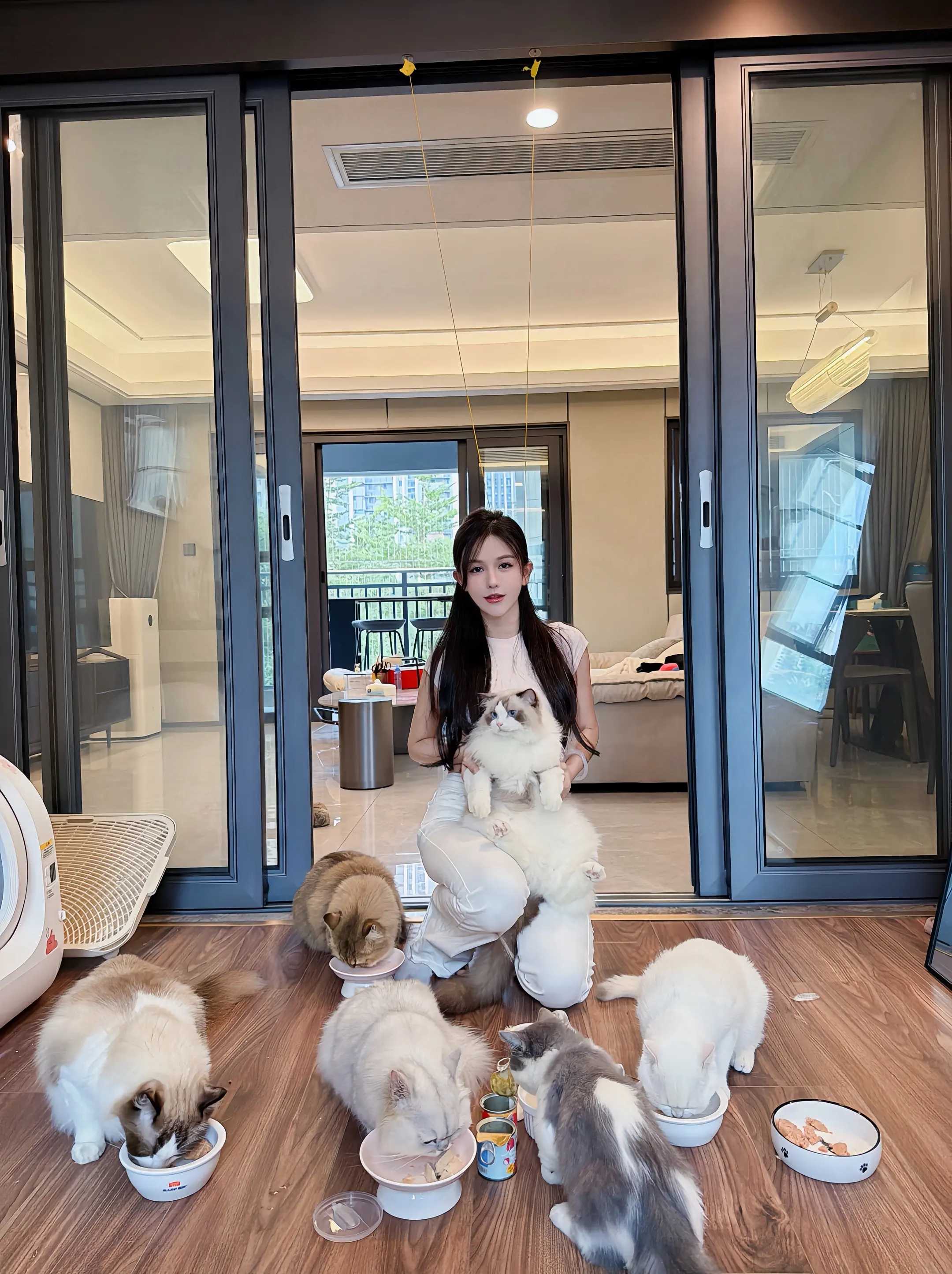 因为有6个生命就这么毫无防备的依赖着我 所以我开了九家宠物店和医院~