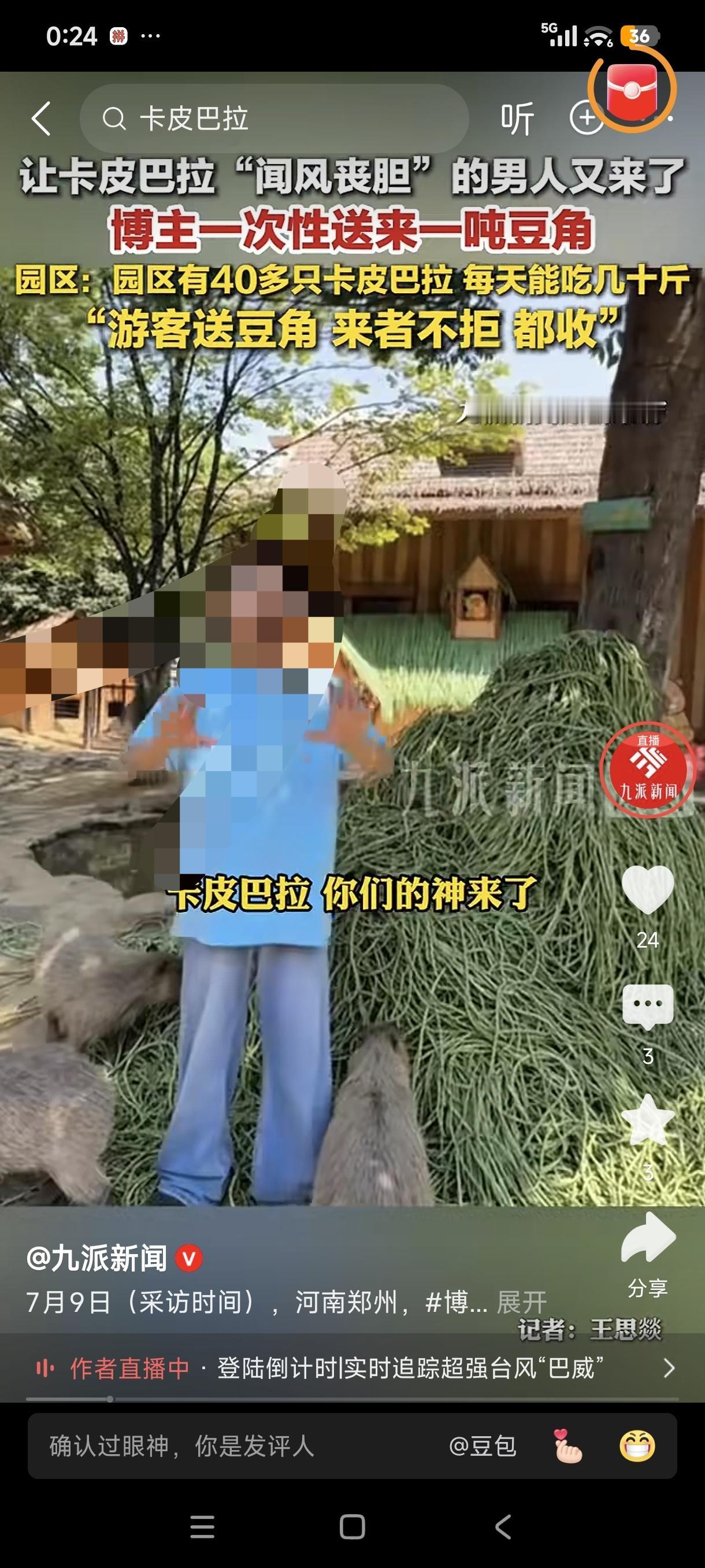 一年一度的“河南豆角季”到了！没想到，连郑州某一动物园的卡皮巴拉也逃脱不了吃“豆