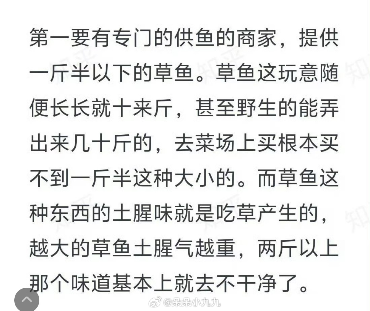 真想让你们吃一吃湖南这边的草鱼……一点土腥味都没有，因为这边乡下都是泉水里养草鱼