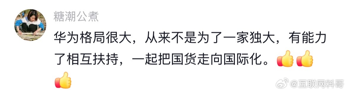 网友把华为看透了！但是，耐不住有人搞背刺，窝里斗。这是一种耻辱！ ​​​