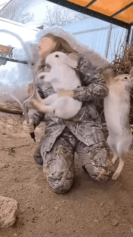 兔子：快点放开我老婆，你想干什么。