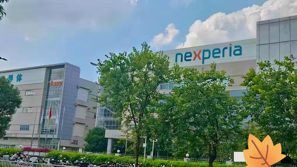 准备出手修理荷兰了
​商务部今天在回答记者的问题时，对荷兰政府发出了明确警告:荷