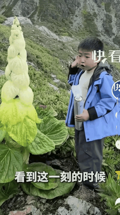 西藏icon，男子一家三口徒步高原，爬到4000多米时停下休息，没想到，男子远远