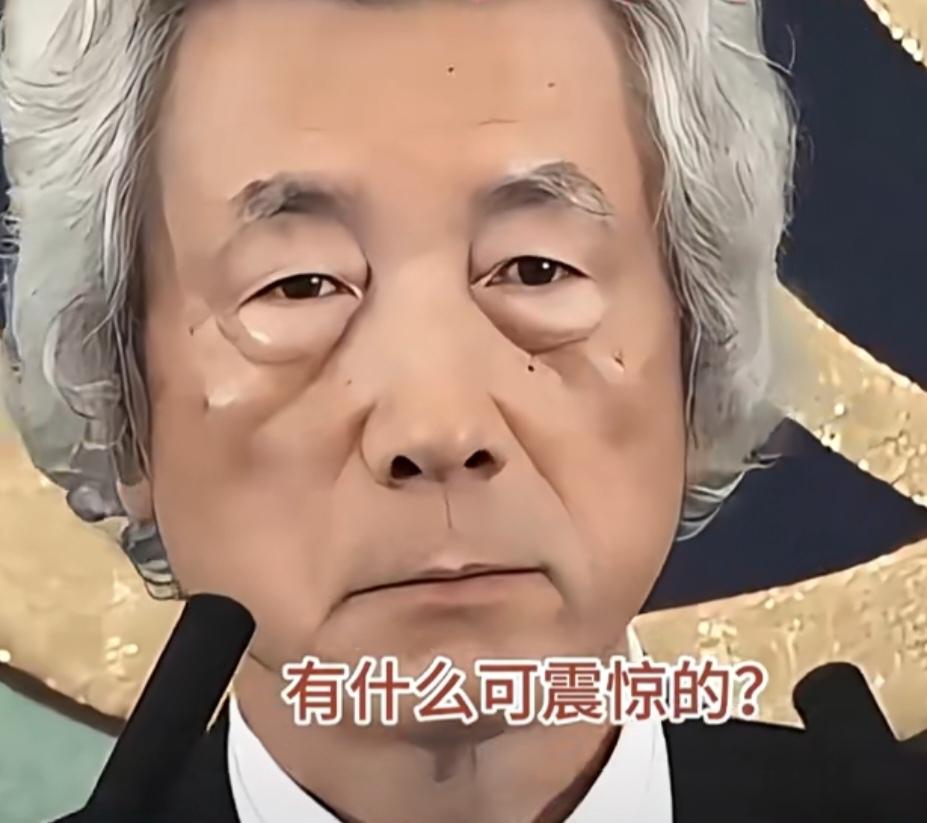 2004年小泉纯一郎狂言：在中国设立学校、医院、企业，培养我们的勇士潜入内部，2