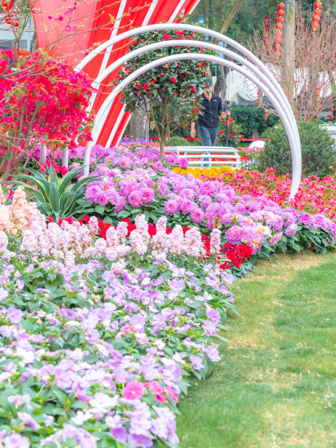 春节慢乐｜满城鲜花陪你在广州过大年