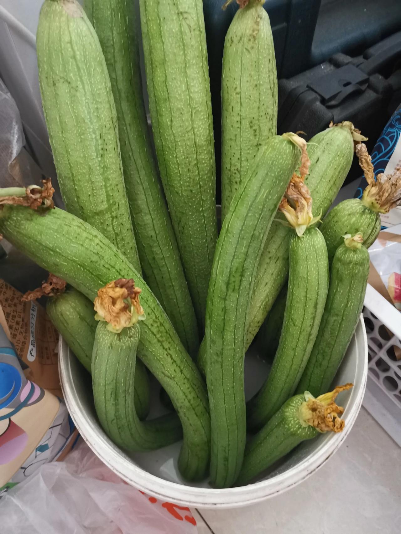 现在正是吃丝瓜的季节，丝瓜蛋汤绝对是增加食欲的美味。现在教你们一个可以把丝瓜放置