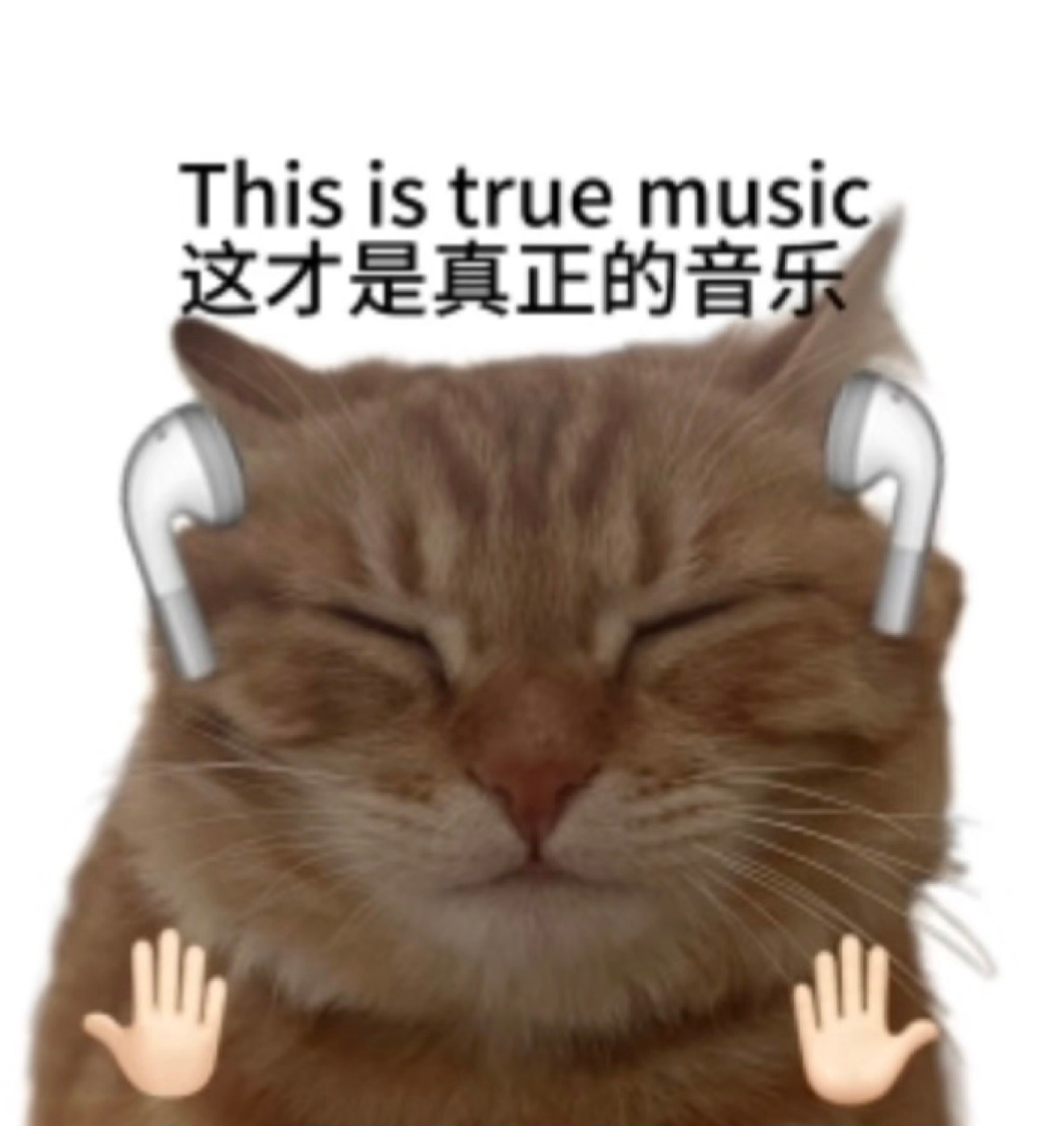 发现俊凯的这几首歌都很值得细细品味，越听越觉得卧槽他好有品！我好有品！！仙品！！