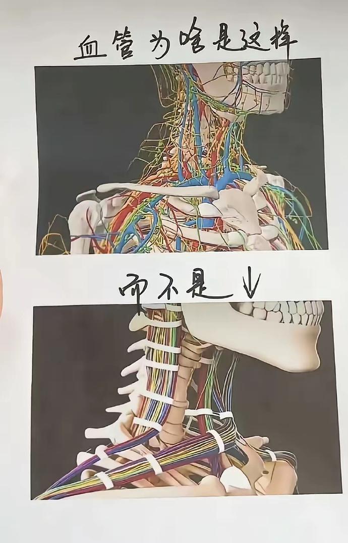 来自电工的疑问[狗头]