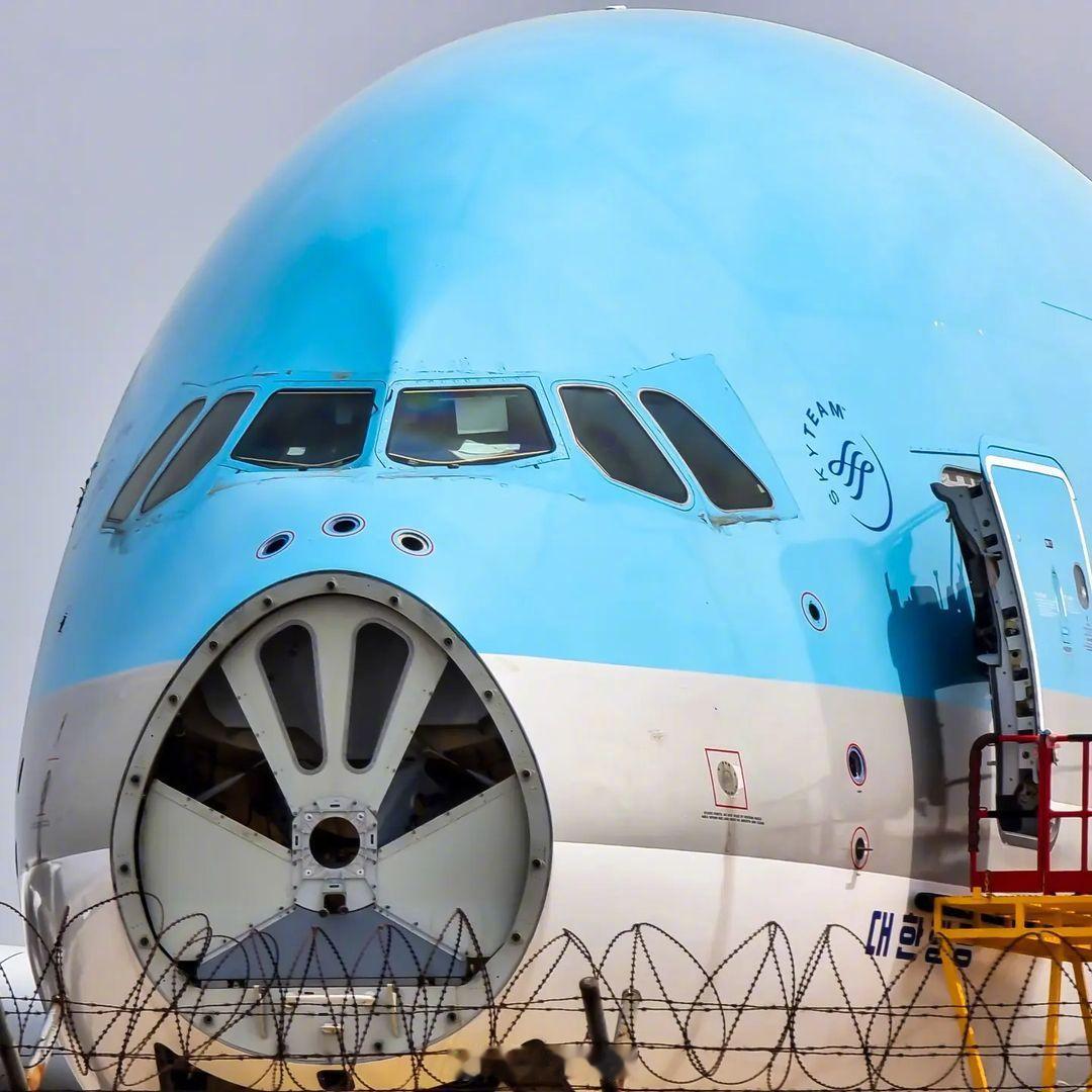 【可惜啊，飞了不到9年的A380就这么拆了[失望]】有航空爱好者拍到大韩航空一架
