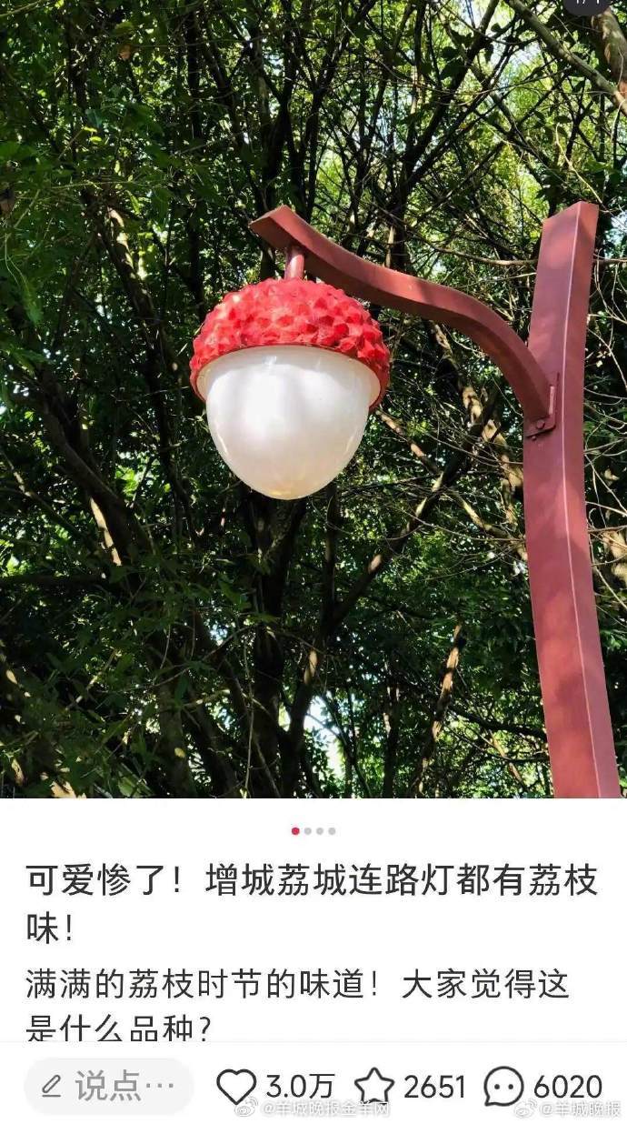 【广东水果路灯，一种生活美学｜广东的路灯看起来很好吃##广东的路灯可爱惨了#近日
