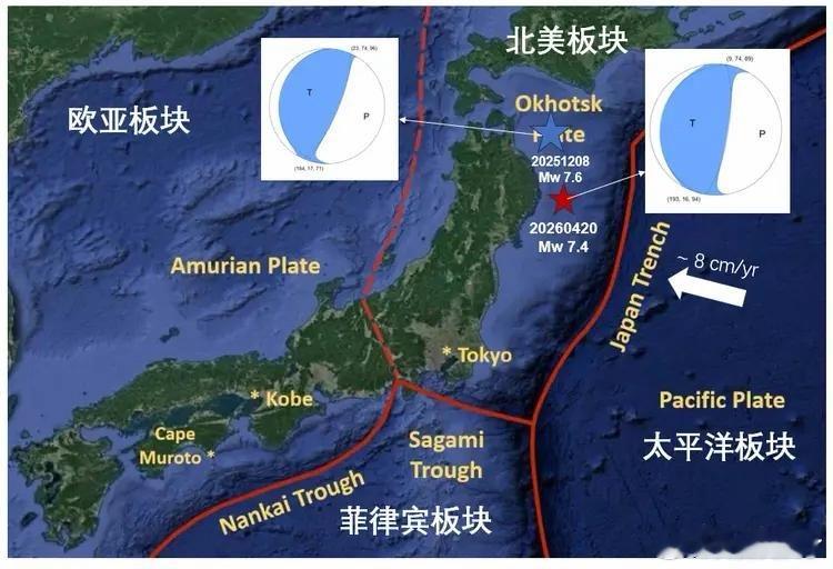 日本本州7.1级地震这次地震的主要原因是太平洋板块长期向西俯冲并楔入日本地下深处