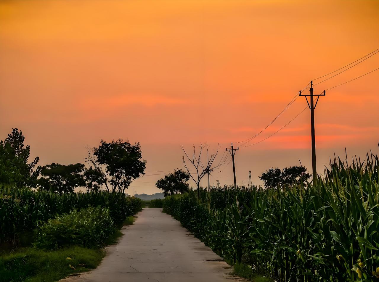 父母葬礼，成了农村年轻人和老家的最后终点

老家隔壁村的一件事，让我看清了农村最