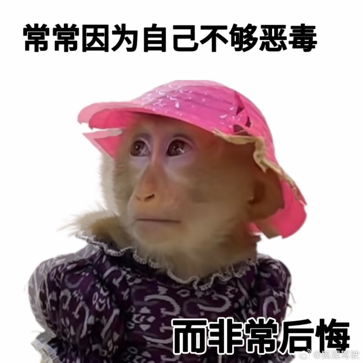 这几天因为出差来到北方，在石家庄转机的时候，跟朋友聊起单依纯翻唱李荣浩《李白》的