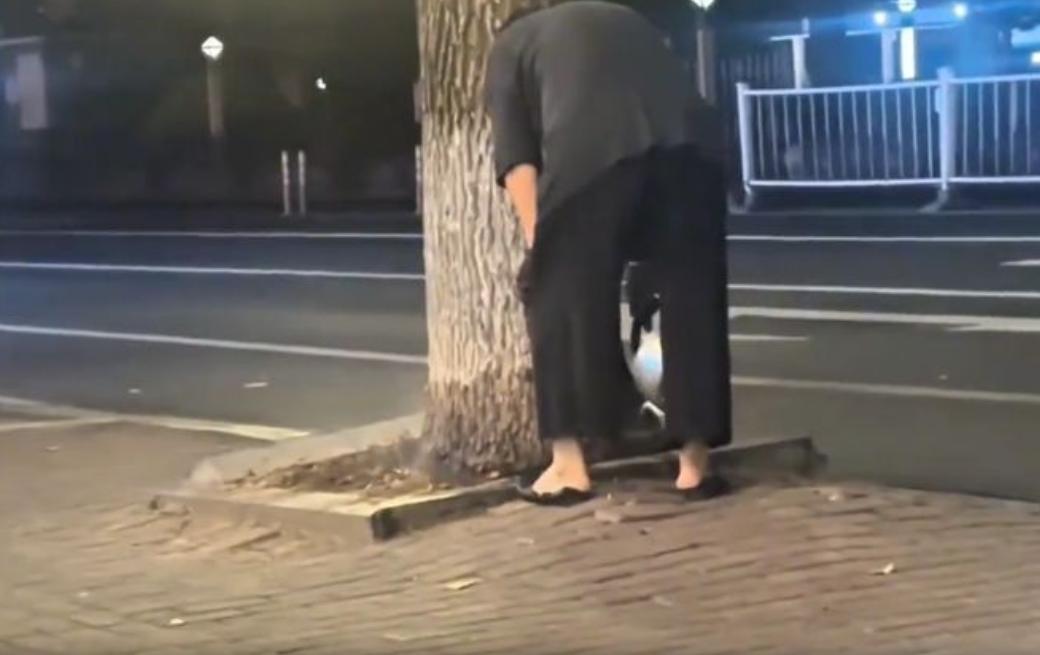 “这也太离谱了！”沈阳一大妈连续两周，晚上提着一壶开水到小区路边给树浇水。刚开始
