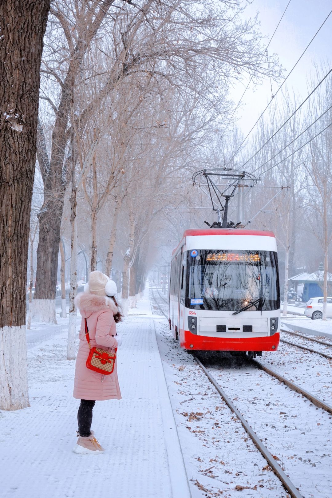 交换一张你拍的雪景