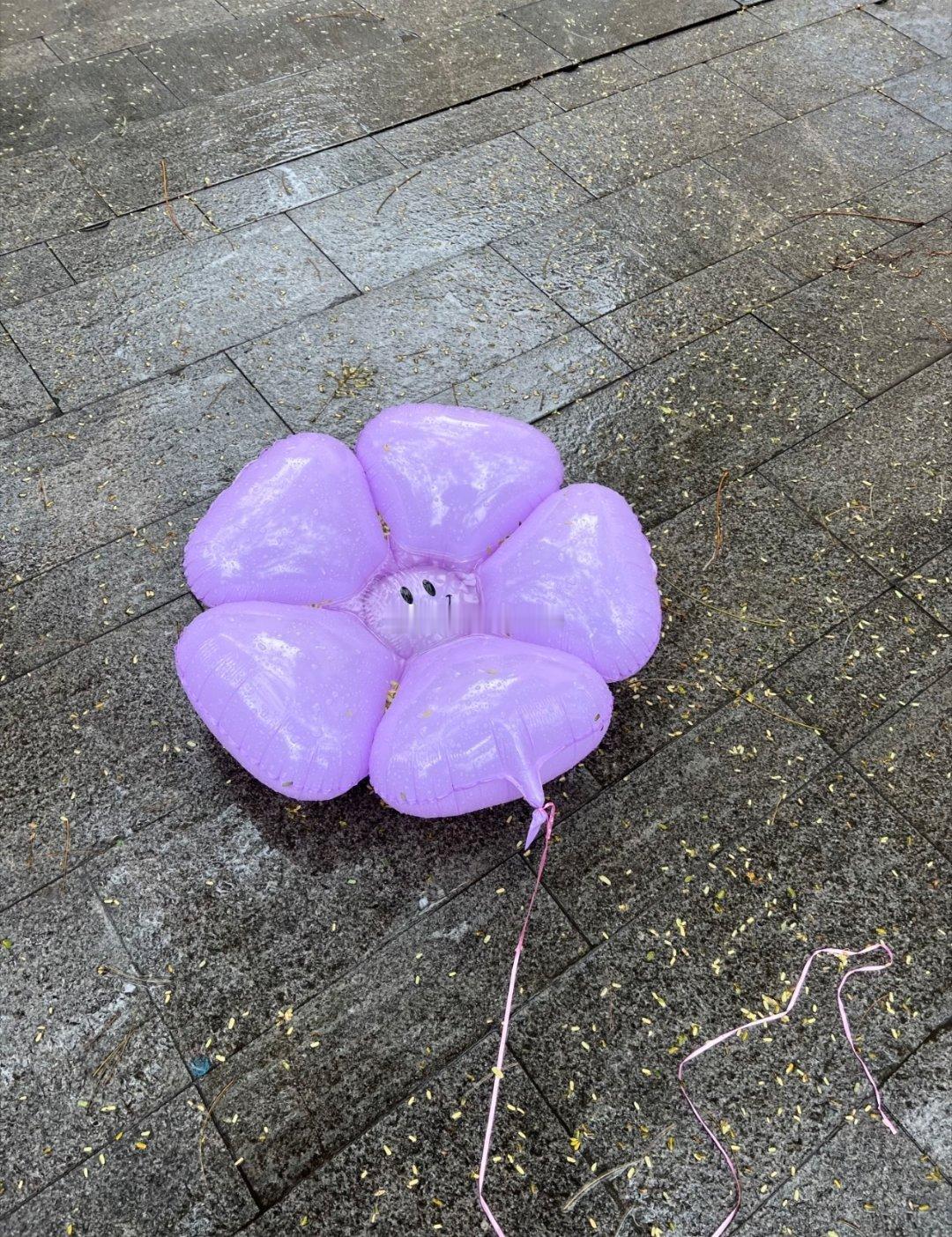 有时候我也能体谅下雨天就像我能体谅自己的下雨天一样可是能困住我们的从来都不只是时