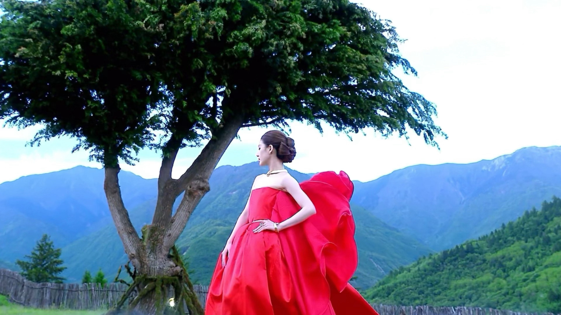 今晚VOGUE女明星树下定格镜头🍃VOGUE女明星树下定格镜头