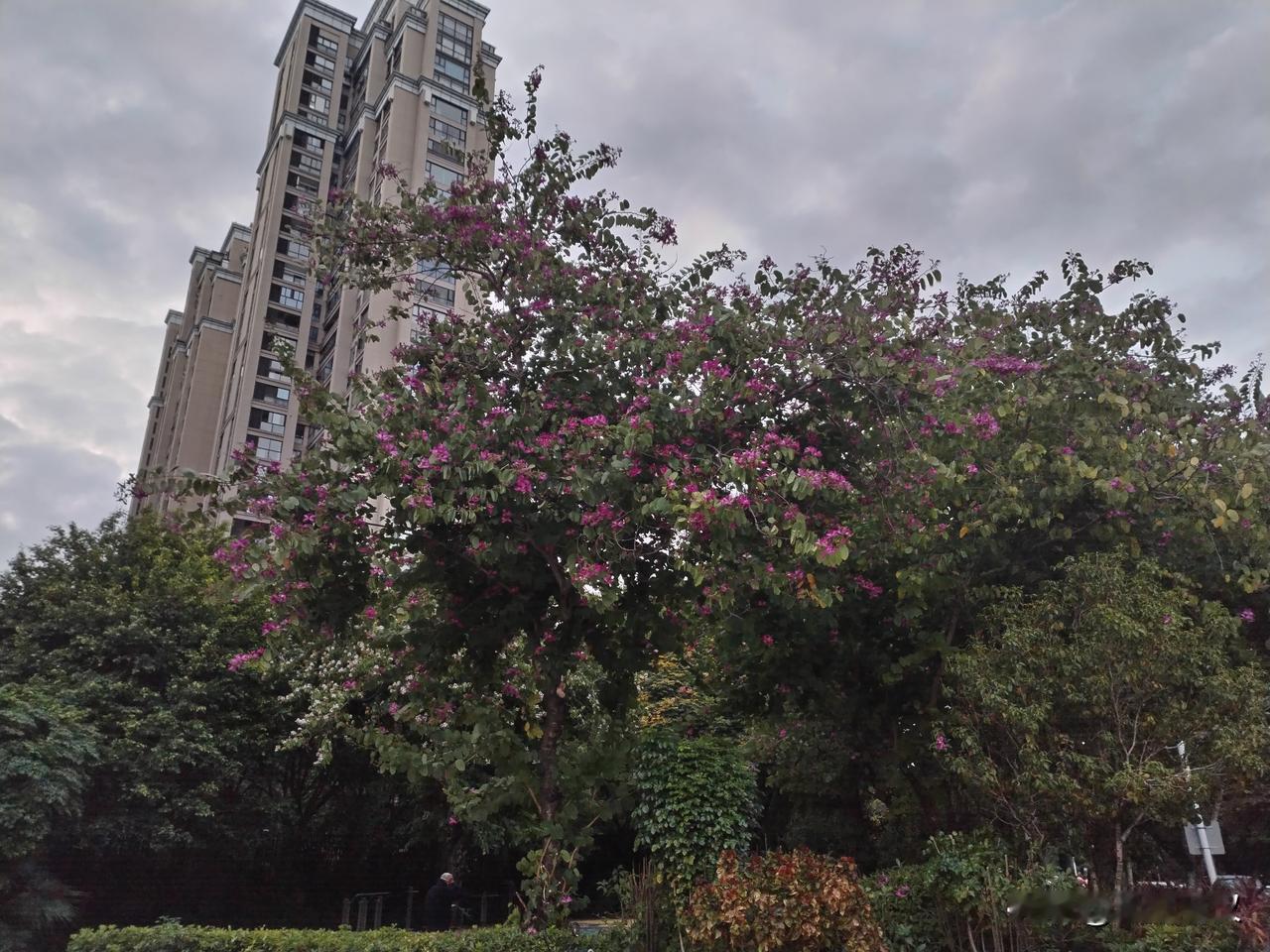 我也支持学校取消延时服务，学生，家长，老师都是累，身心疲惫，非常可怜。解放学生，