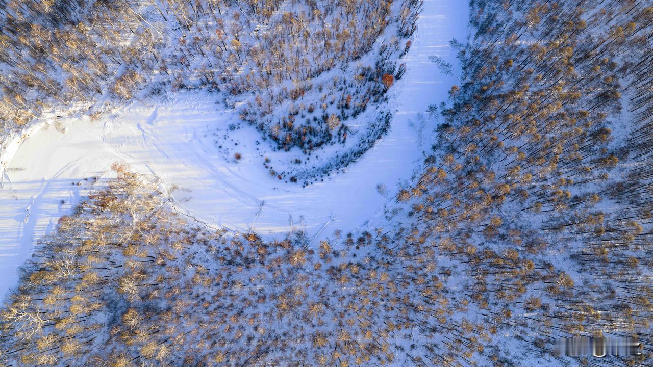 条友这一周大兴安岭原始森林中的激流河失去了夏季的奔腾与咆哮[大笑][大笑][大笑