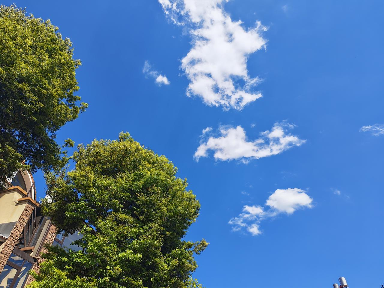 我已经自己给自己限高了：上班乘地铁，出差坐班车，很少下馆子，从不进浴场。
半世光