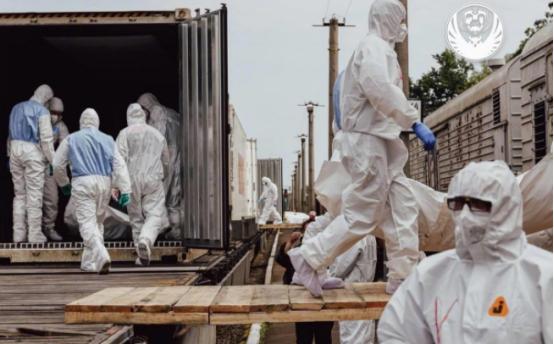 看来下次俄乌遗体交换，乌克兰可以提供更多的俄军遗体，因为乌克兰声称，乌军在红军城