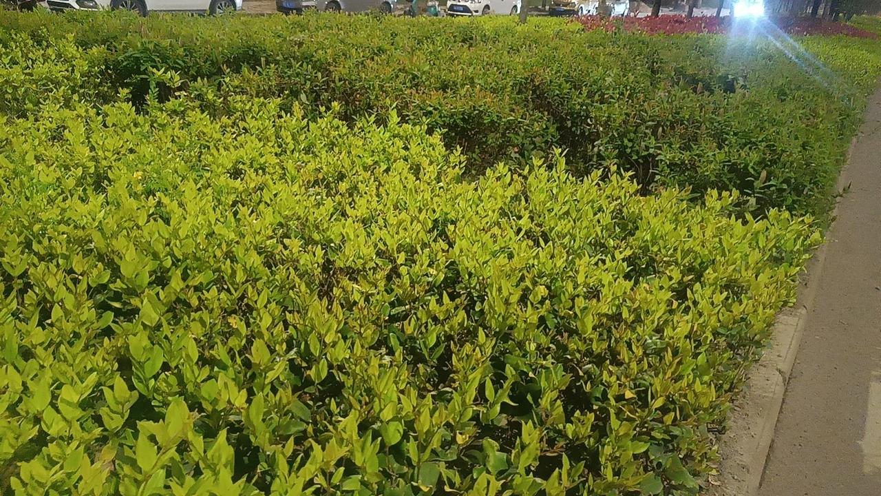 把坐骨神经痛的常见处理方法说清楚，简单实用、在家就能做：仅供参考
 
一、立刻能